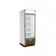 16D-JP1 精品冷冻柜，冰淇淋展示柜